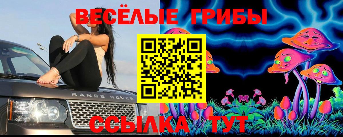Моршанск  Галлюциногенные грибы Cubensis  Вход с VPN 